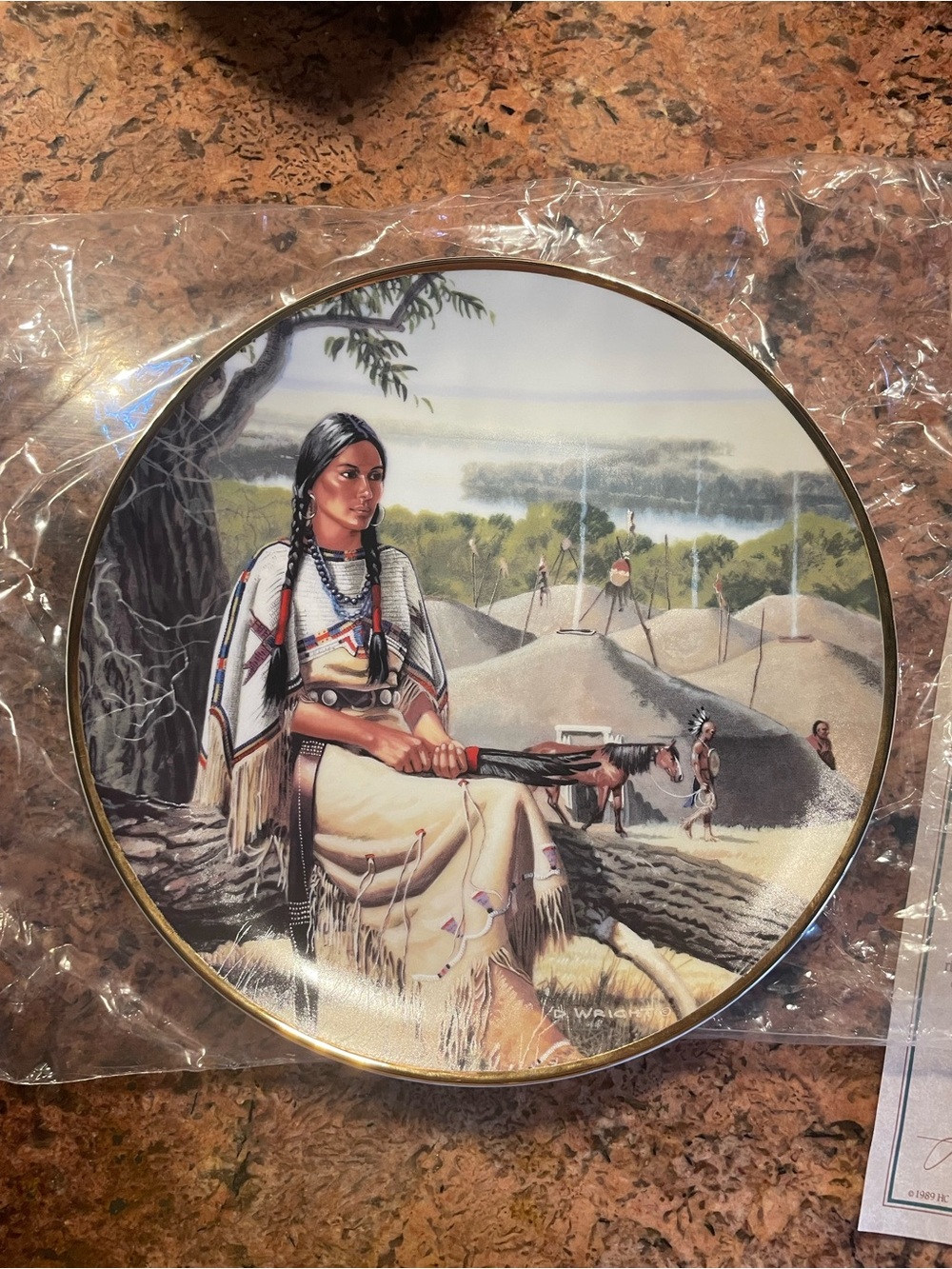 Decorative Native American Themed Collector Plate - Earth Tones